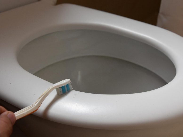 How to Clean a Toothbrush that Fell in the Toilet